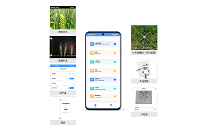 中卫市小麦表型检测仪IN-XM04